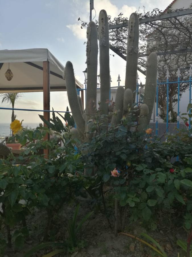 Villa Loreta Forio di Ischia Exteriör bild