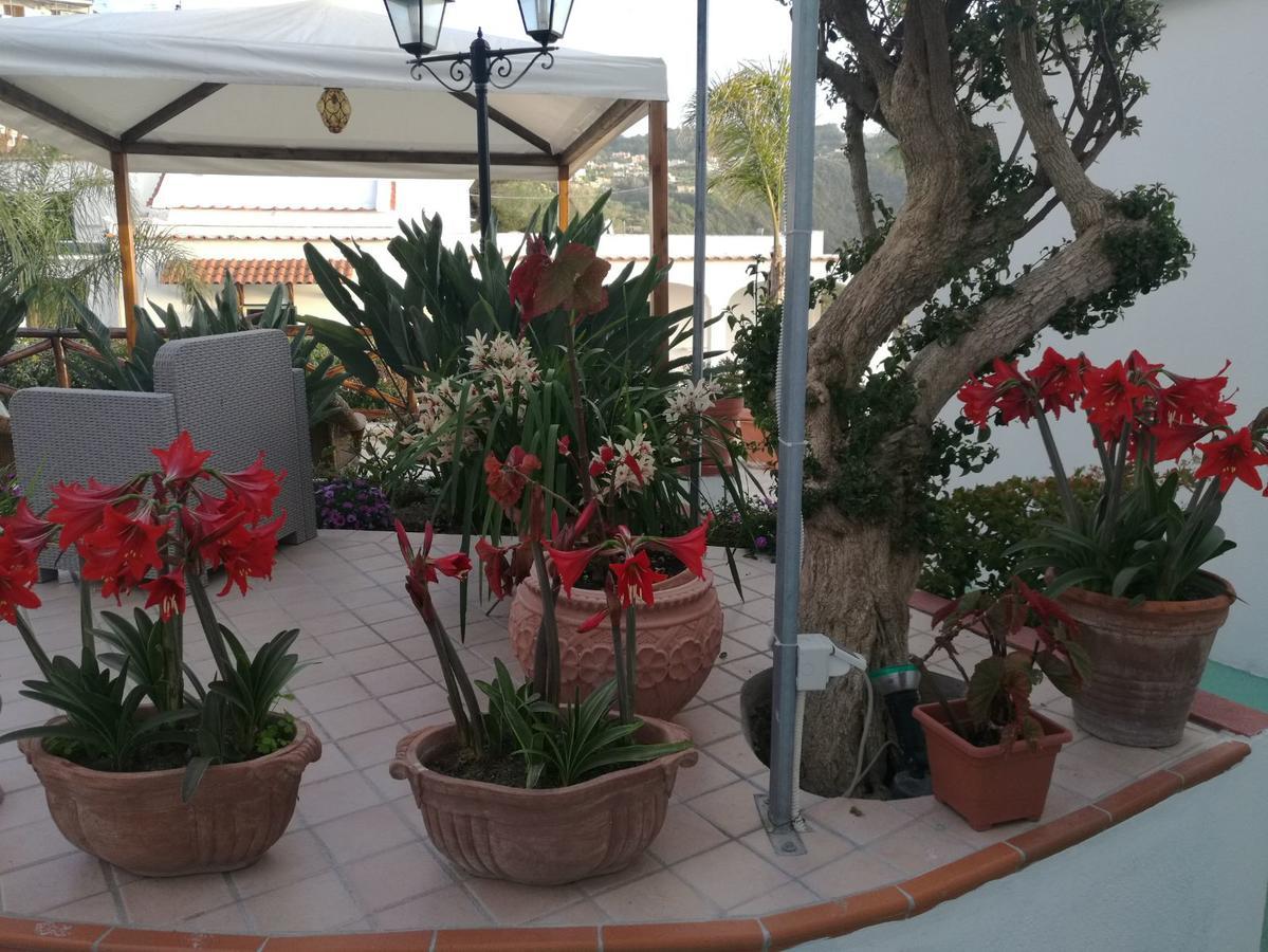 Villa Loreta Forio di Ischia Exteriör bild