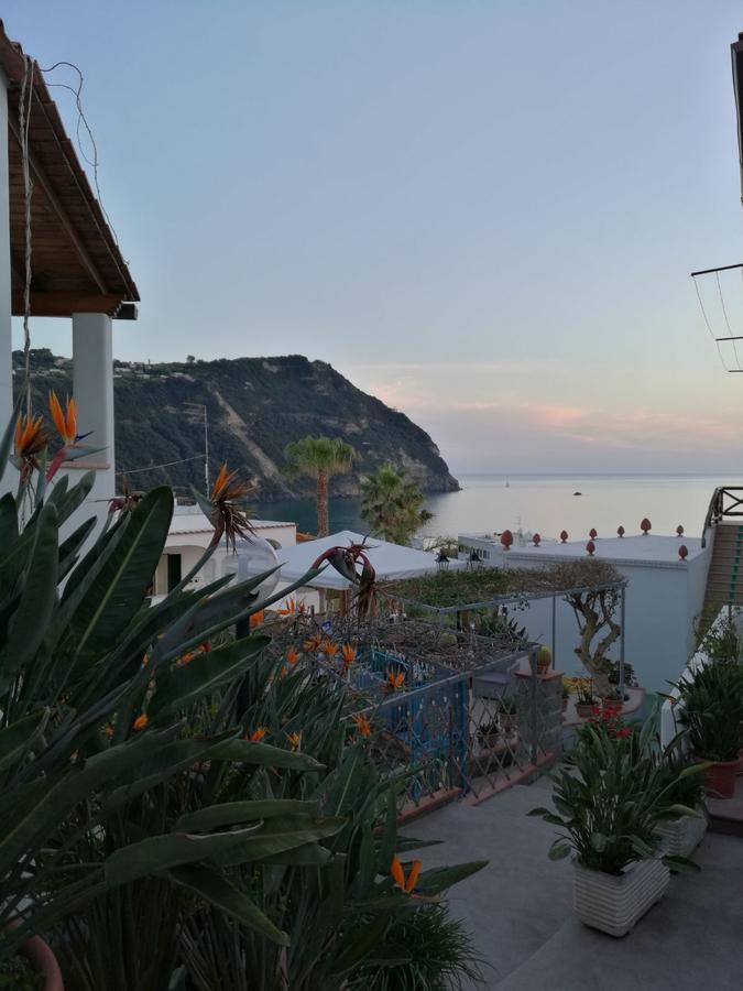 Villa Loreta Forio di Ischia Exteriör bild