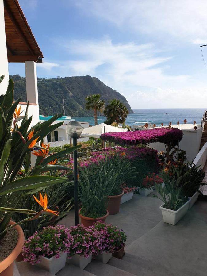 Villa Loreta Forio di Ischia Exteriör bild